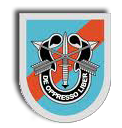20th Special Forces Group Barettabzeichen