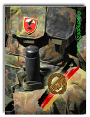 Chronik des Fallschirmjägerbataillons 273