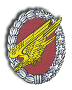Kameradenkreis Fallschirmjägerbataillon/Luftsturmregiment-40