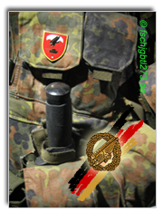 Fallschirmspringerabzeichen